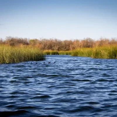 Braunig Lake venue photo